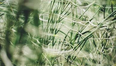 Як зрабіць кудмень на поспех сваімі рукамі