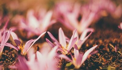 як зрабіць кудмень на поспех сваімі рукамі